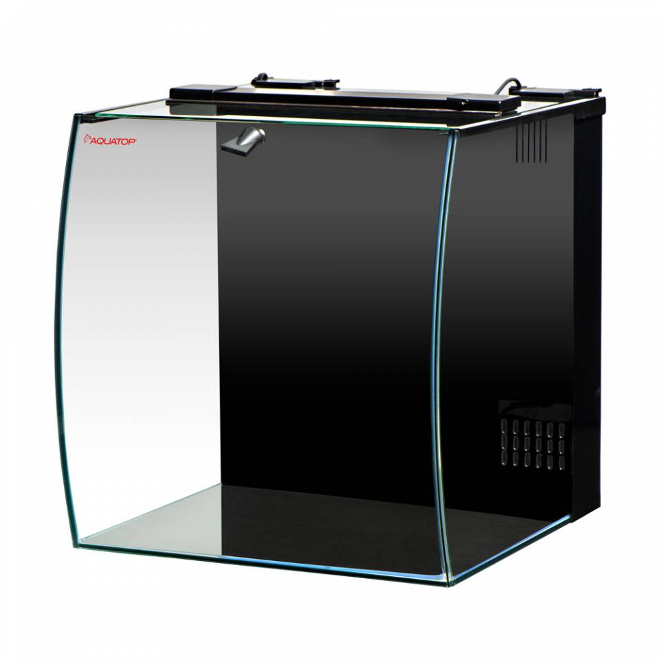 FISH TANK  31冊 51p823VzYyL._UF350,350_QL50_.jpg